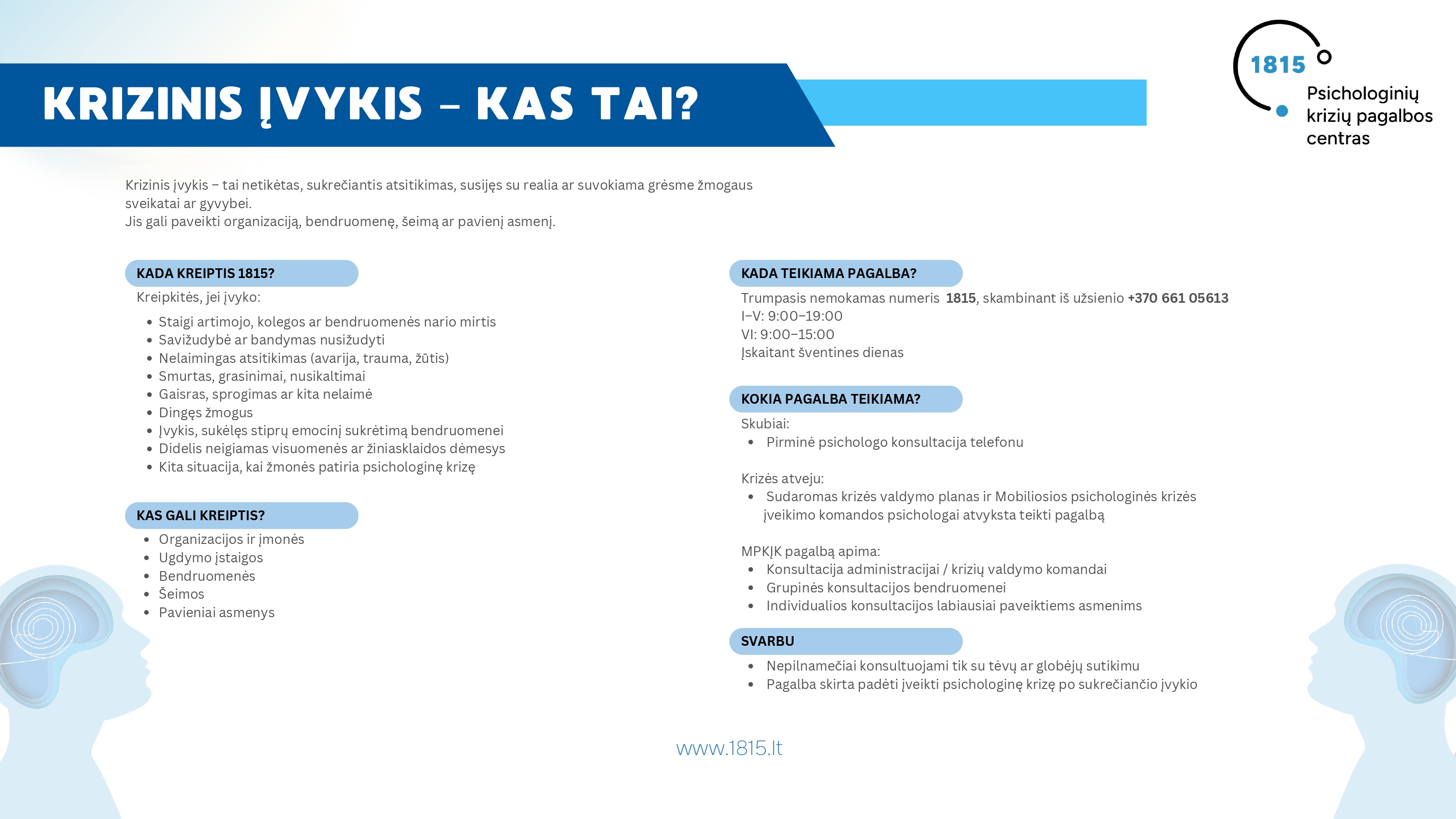 Krizinis įvykis